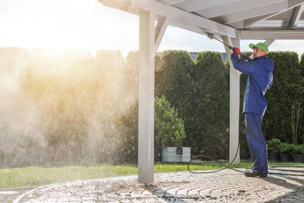 Best Gutter Cleaning  in North Valley Stream, NY